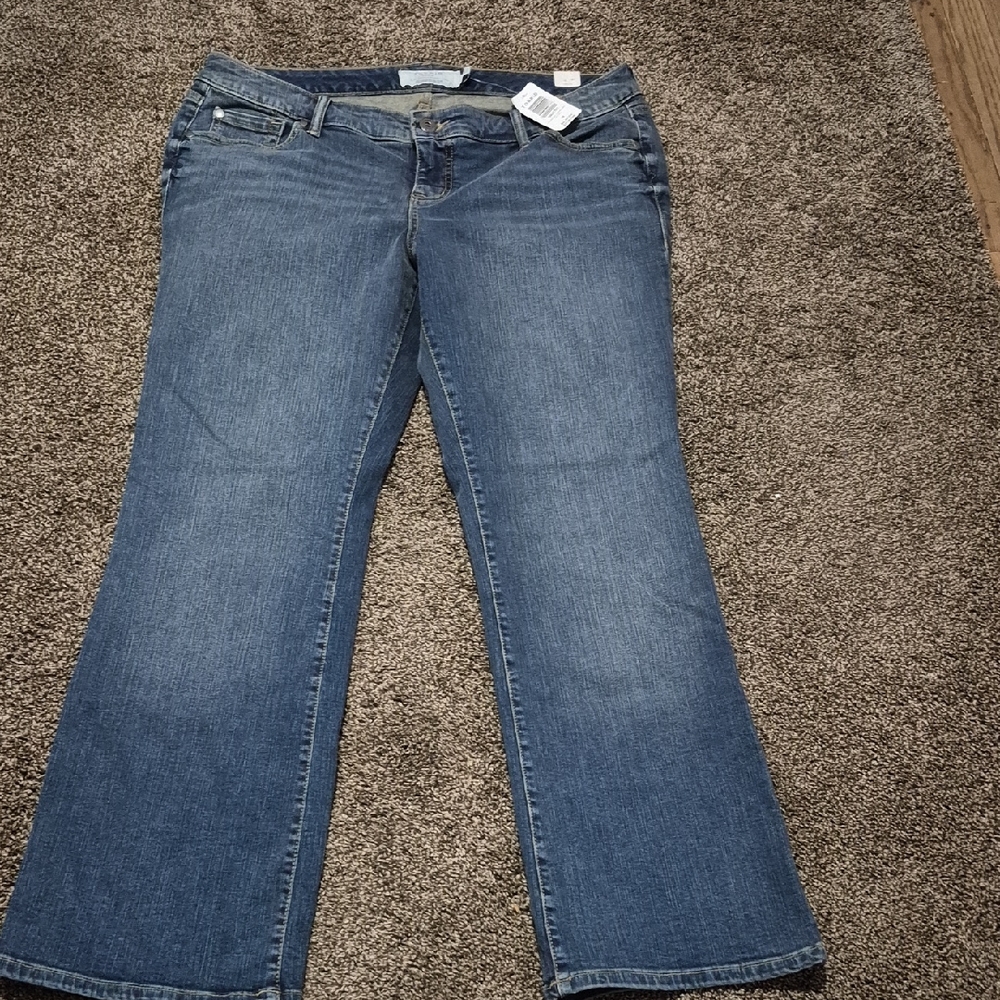 Torrid Women's Classic Blue Boot Cut Jeans